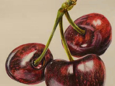 彩铅樱桃