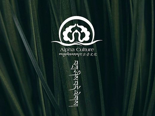 LOGO（個(gè)人主頁(yè)-ZNTU3NTMwNjA=） - 包裝 - 站酷設(shè)計(jì)師DOJIZ原創(chuàng)素材 - 站酷ZCOOL