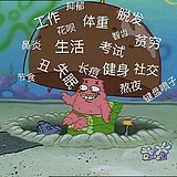 柯基班的头像