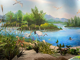 生态环境博物馆景观装置➕壁画彩绘