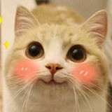 笑笑子的头像