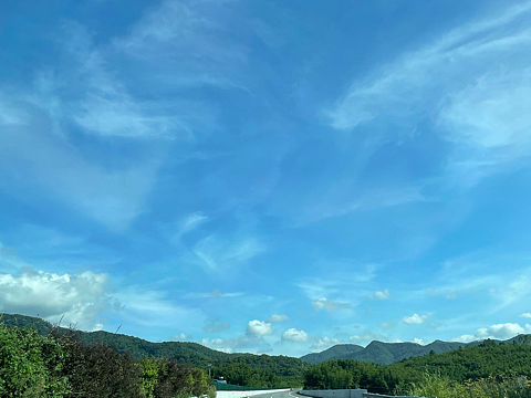 沿途风景