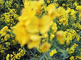 第一次摄影作品