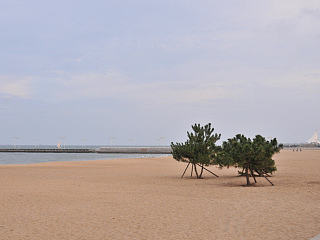 万平口海滨风景区