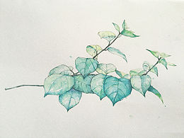 水彩画