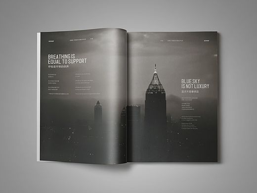 去年的净化器画册、现在回想起来、挺多的感慨和忧伤！（又开始装逼了）