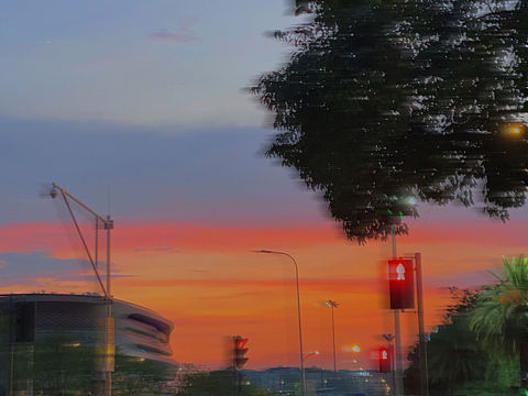 夏天到处充满惊喜~🌻