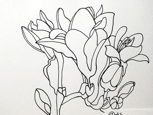 线描植物