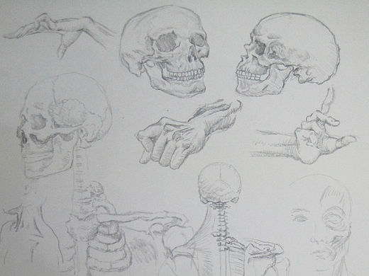 人体结构练习