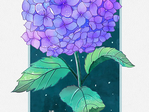 iPad 水彩花卉