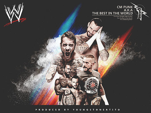 WWE系列  CM PUNK