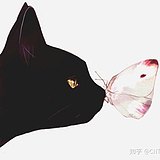用戶頭像