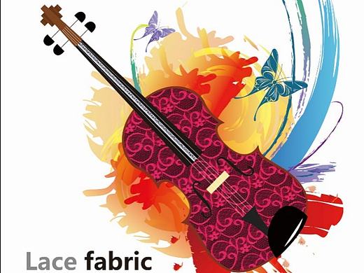 蕾丝布料海报
