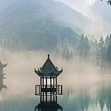 钧天Z的头像