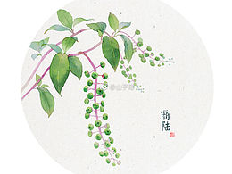 手绘花