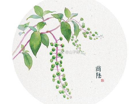 水彩画 水彩花卉 手绘