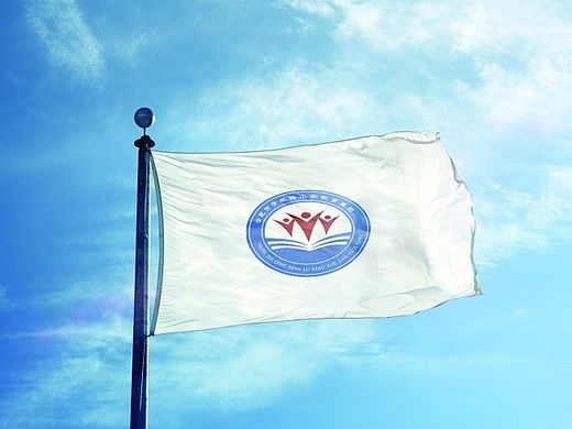 Logo设计方案②