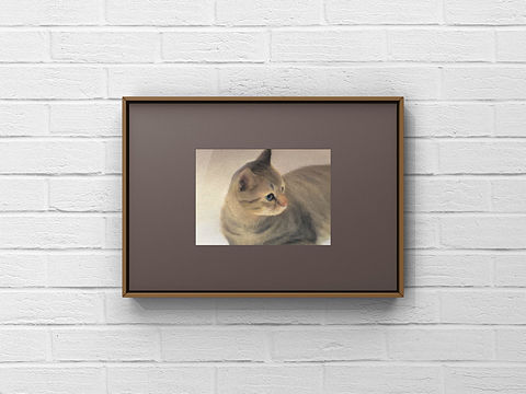 猫星人（个人主页-ZMzI4MTE1MDA=） - 绘画 - 站酷设计师画画的小石头原创素材 - 站酷ZCOOL