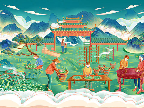 碣滩茶x包装插画设计