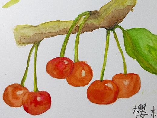 樱桃（个人主页-ZMTkyODY4NTI=） - 创作习作 - 站酷设计师吴诺比qissi原创素材 - 站酷ZCOOL