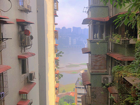 一半像夏天  一半像冬天