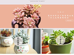 植物官网