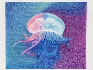 水母
