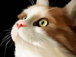 学习（个人主页-ZMTg0NzgxNg==） - 宣传物料 - 站酷设计师洁rachel原创素材 - 站酷ZCOOL