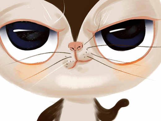 猫