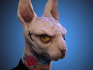 无毛猫（个人主页-ZMzYzODQ0NA==） - 人物/生物 - 站酷设计师雕模型的东哥原创素材 - 站酷ZCOOL