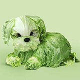 会动画的美工的头像