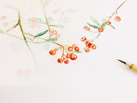 忆江南.《火棘》（欧阳贤）（个人主页-ZMjUyNTg3MDg=） - 绘画 - 站酷设计师爱吃菌菇的猫咪原创素材 - 站酷ZCOOL