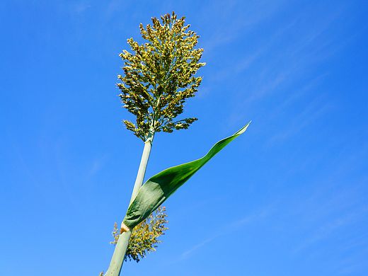 蓝（个人主页-ZMTU2MTQwNDQ=） - 风光摄影 - 站酷设计师许柚柚原创素材 - 站酷ZCOOL