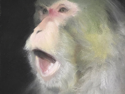 猴哥两幅（个人主页-ZMzExOTE4NDg=） - 绘画 - 站酷设计师画画的小石头原创素材 - 站酷ZCOOL