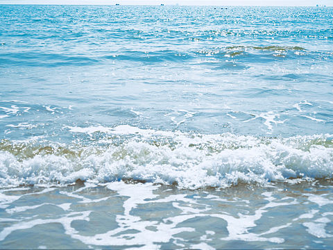 the color of the sea 