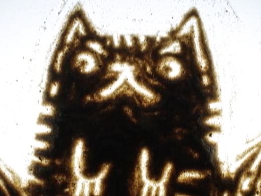 定格动画—Tiger