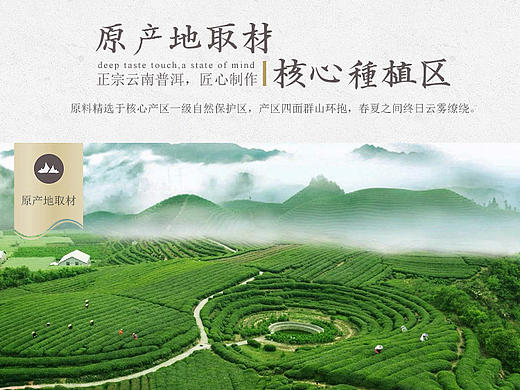古典普洱茶 茶叶 茶道  食品详情页 神笔模板