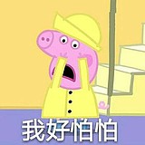 鲤大鱼的头像