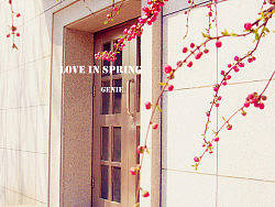 渤海大学&nbsp;love&nbsp;in&nbsp;spring