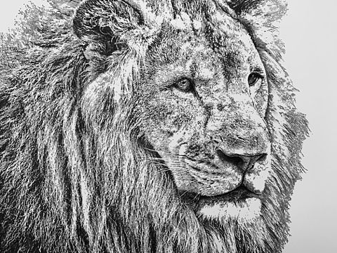 未留名的过错（个人主页-ZNDE5NTUyODA=） - 绘画 - 站酷设计师赵磊艺术家原创素材 - 站酷ZCOOL