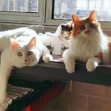 用户头像