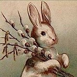 皮划艇的鲜虞的头像