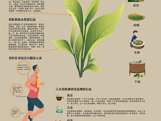 关于茶叶信息图表设计