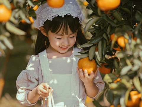 吃可爱多长大的