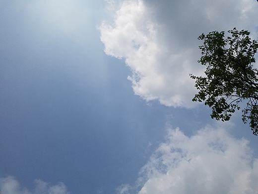 上市网络大公司旗下产品分与合