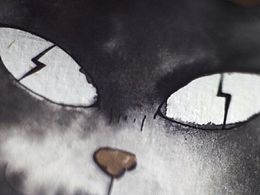 第3只猫
