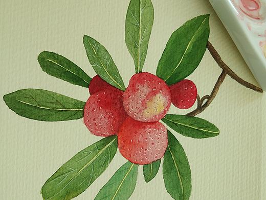 花卉（個人主頁-ZMzc5MTE1OTI=） - 繪畫 - 站酷設(shè)計師肉肉的小橙橙原創(chuàng)素材 - 站酷ZCOOL