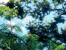 2017年ue4室外场景