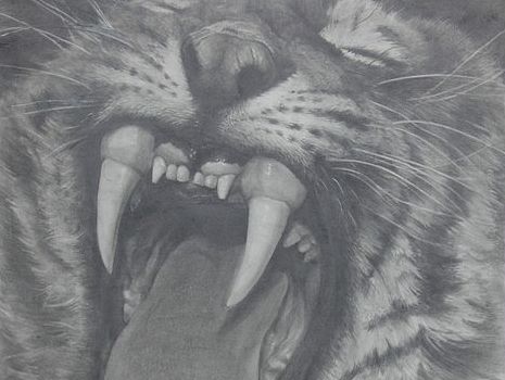 那些年我们无忧无虑的画画