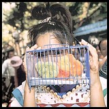 攒钱回水星的头像
